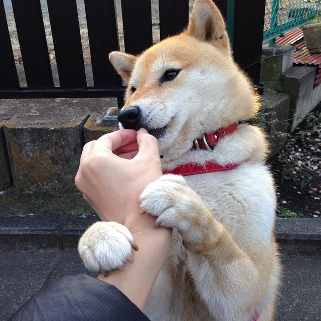 最新电影下载 2010最新电影排行榜 2010最新电影推荐