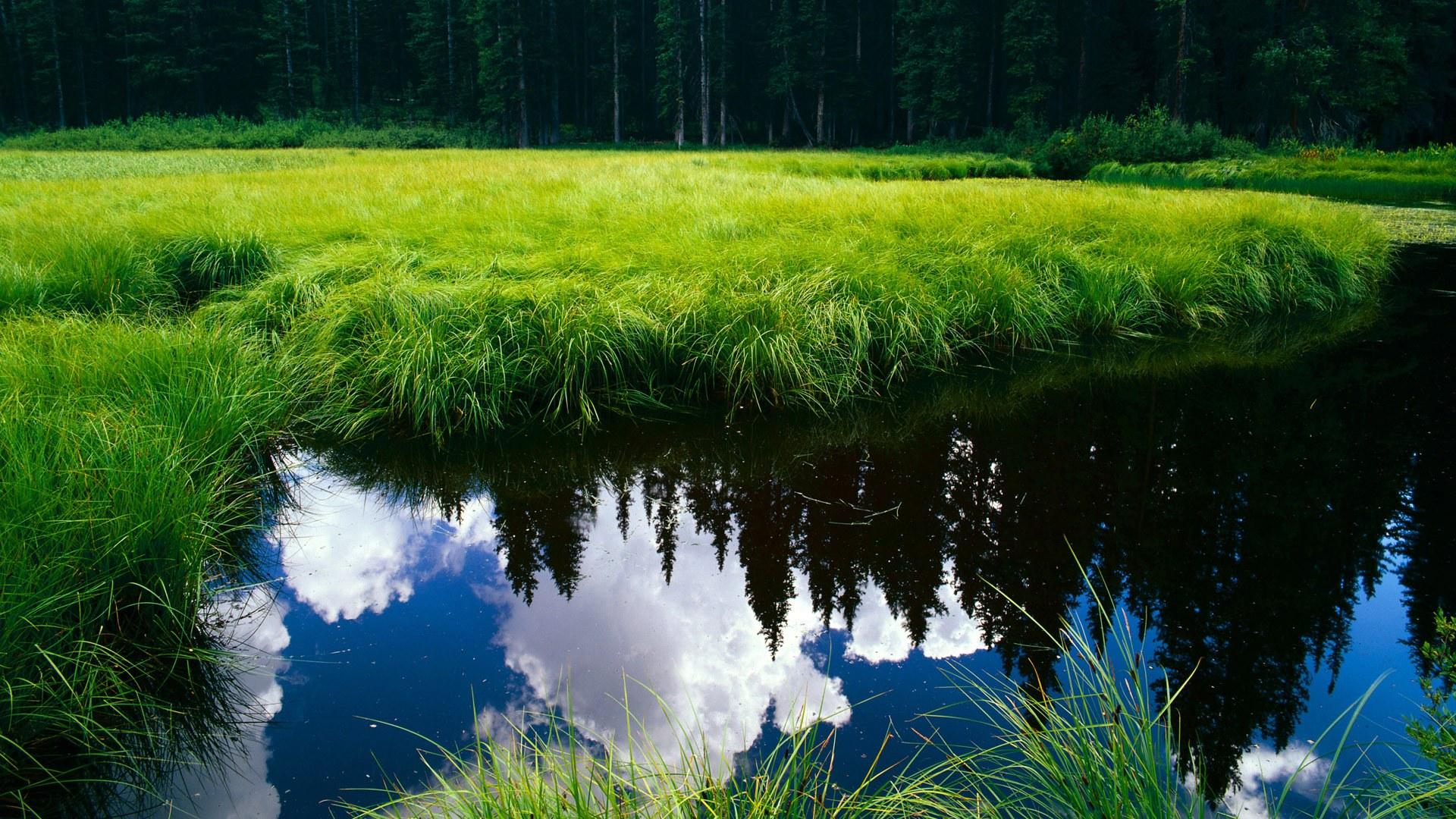 最新电影下载 2010最新电影排行榜 2010最新电影推荐